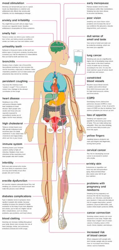 The effect of smoking on the human body