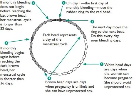 The effectiveness of calendar contraception: is it possible to get pregnant before menstruation?