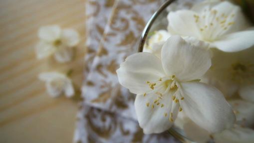 The epicurean pleasure of eating flowers