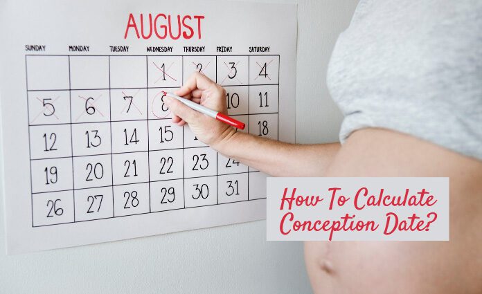 The exact day of conception: how to find out. Video