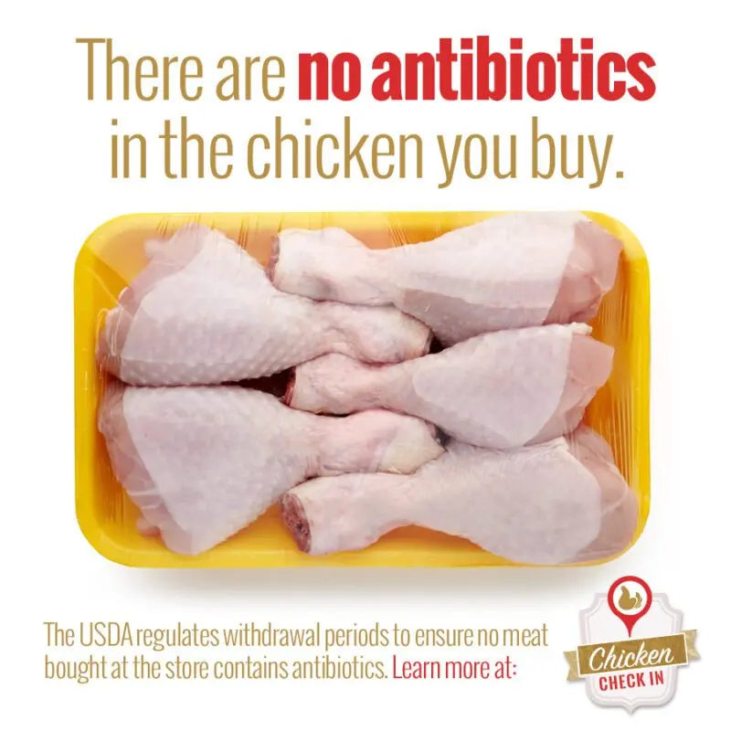 The experts told which chicken contains antibiotics