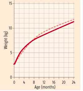 The growth chart for the proper development of the baby