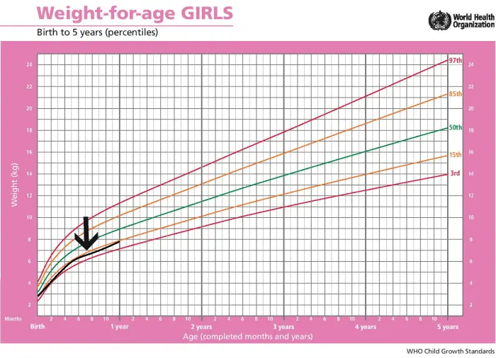 The growth of a girl at 2 years old: what is the average according to WHO standards