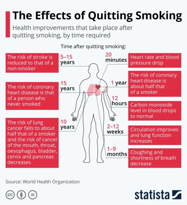 The harm of smoking: how to quit? Video