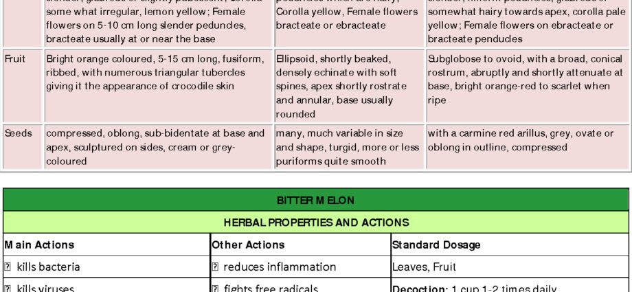 The healing properties of Momordica