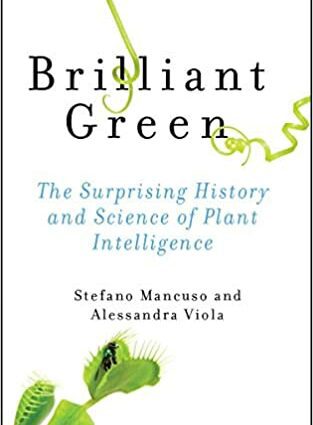 The history of brilliant green: why it is not used in Europe