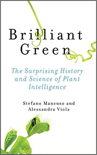 The history of brilliant green: why it is not used in Europe