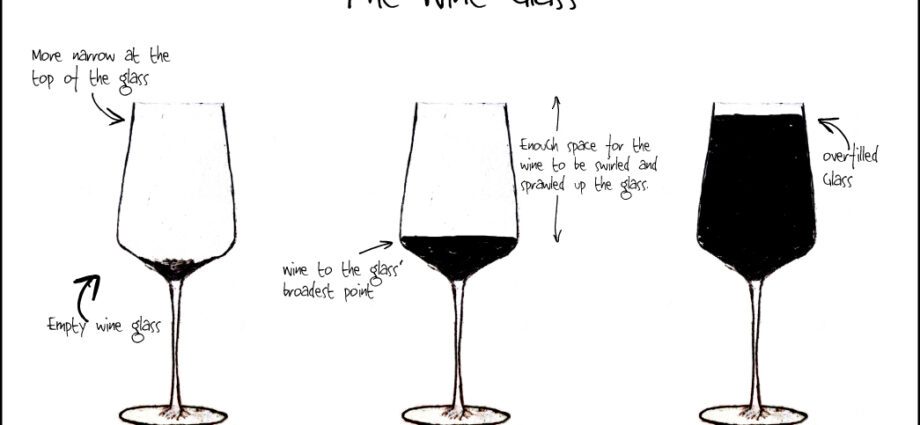 The importance of the Wine Glass