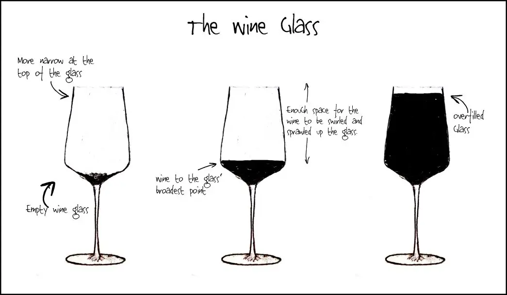 The importance of the Wine Glass