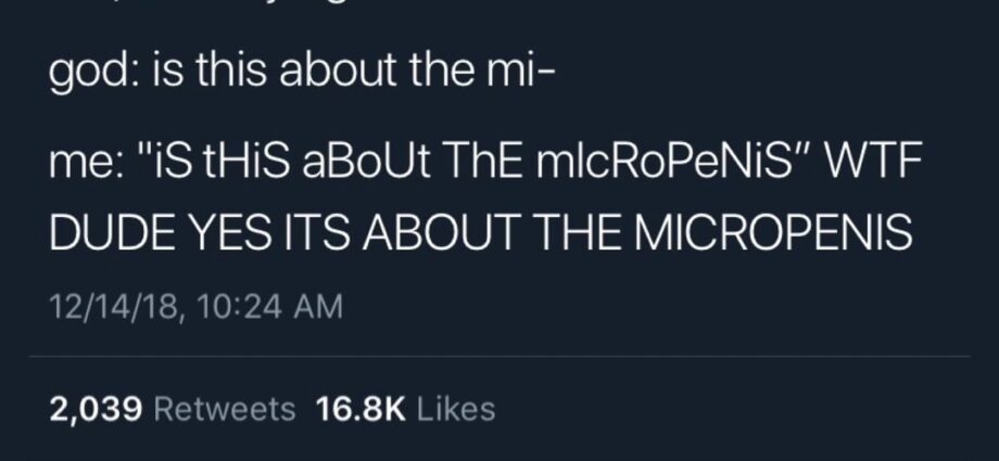 The micropenis