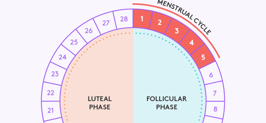 The most favorable days for conception in 2020