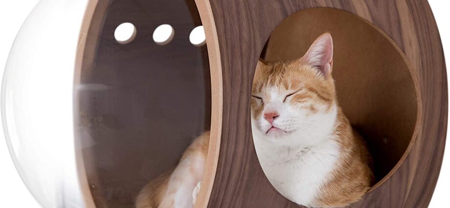 The most original houses and beds for dogs and cats