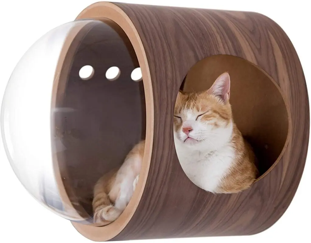 The most original houses and beds for dogs and cats