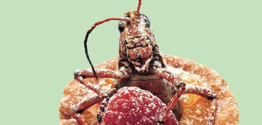 The new trendy dessert is an insect ice cream