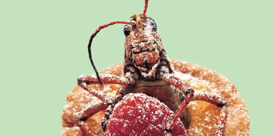 The new trendy dessert is an insect ice cream