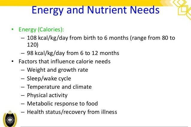 Kebutuhan nutrisi bayi 0-6 bulan