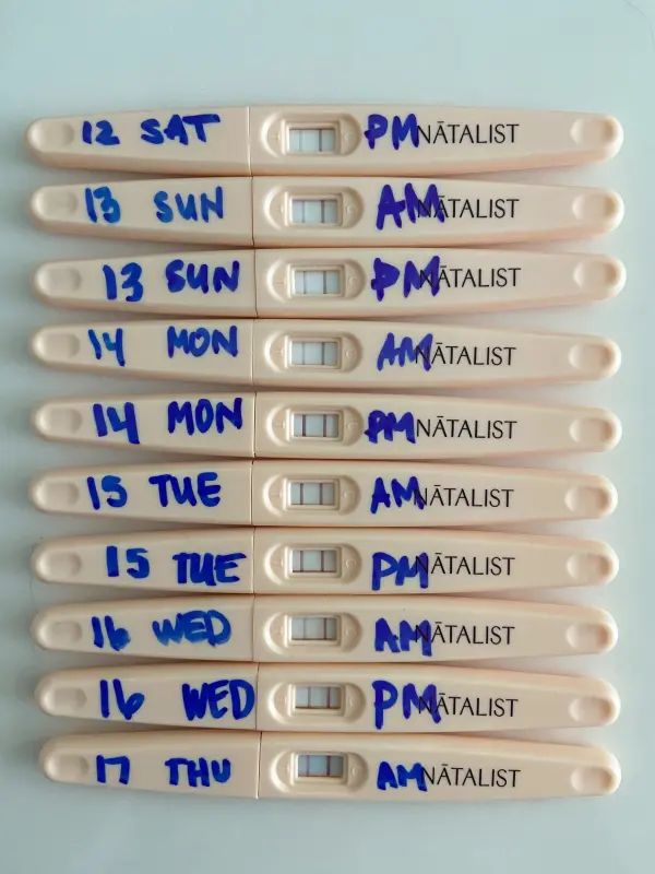 The ovulation test: the essentials to know