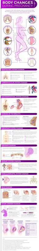 The physical changes of pregnancy