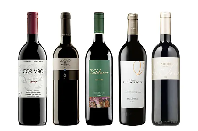 The Ribera del Duero wines that will win you over