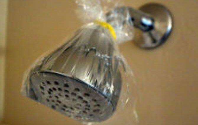 The showerhead is teeming with bacteria