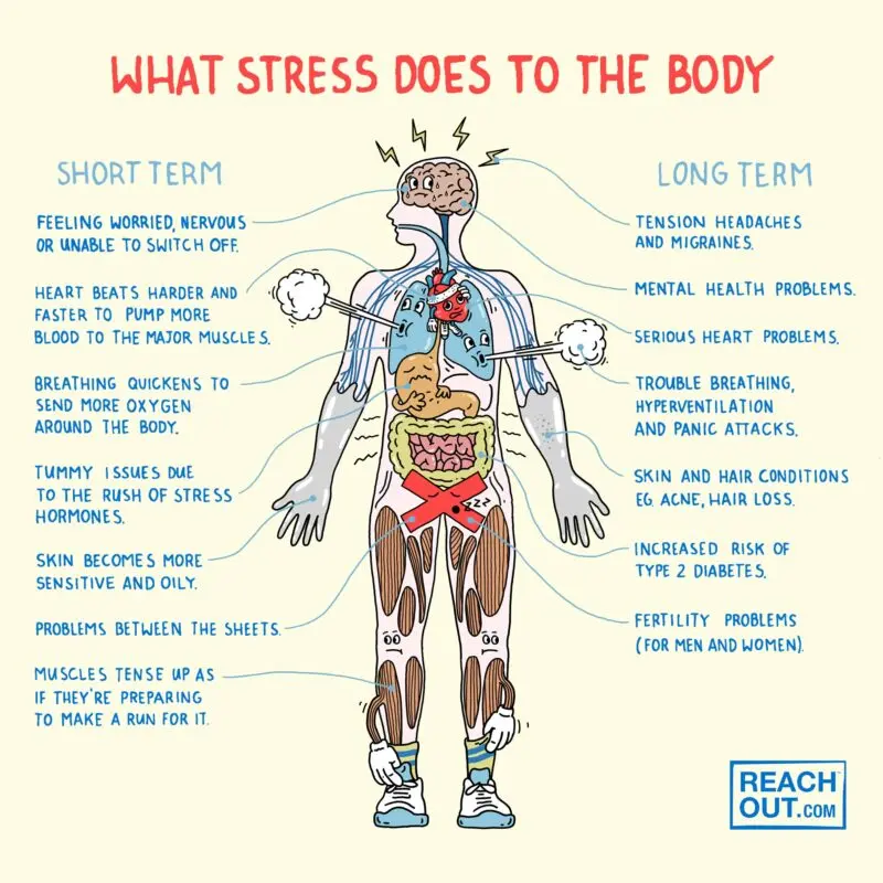 The state of tension of the body is the cause of the disease