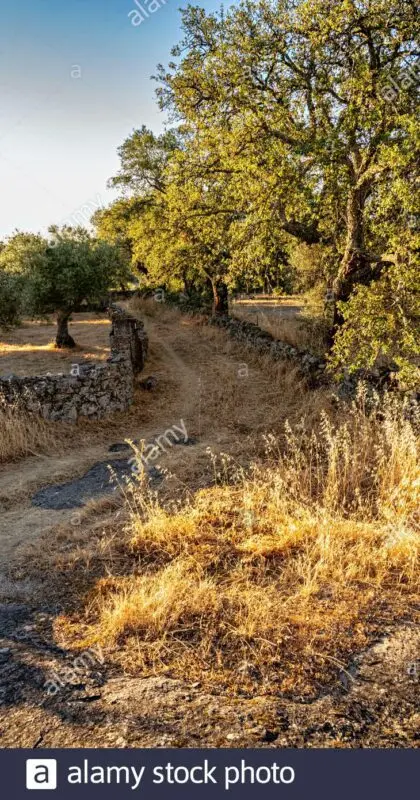 The Temptations of Autumn in Cáceres