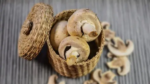 The time of mushrooms and truffles