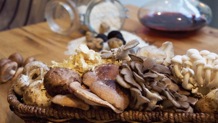 The time of mushrooms and truffles