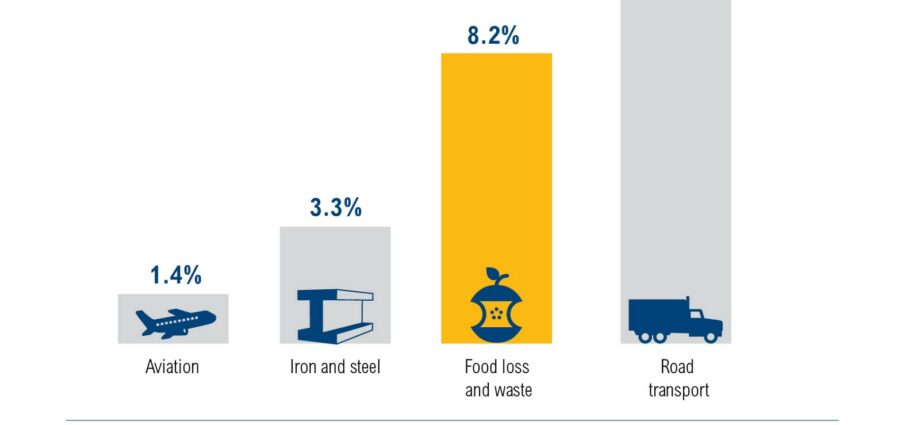 The troubling food waste figures