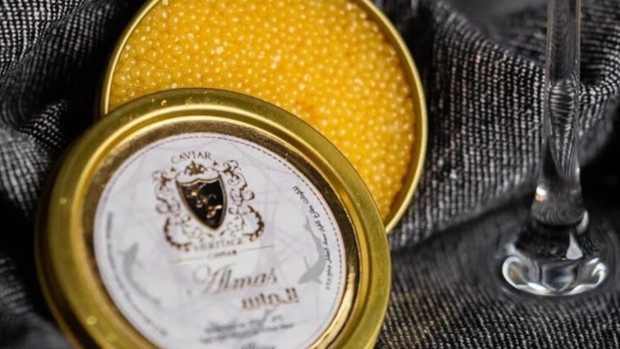 The world&#8217;s most expensive caviar is sold in a gold-plated jar