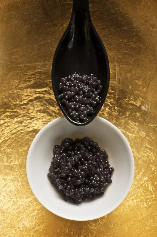 The world&#8217;s most expensive caviar is sold in a gold-plated jar