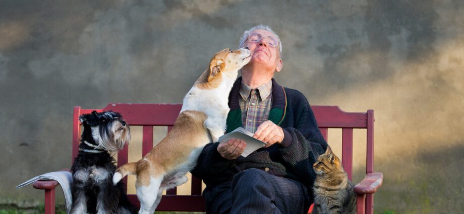 This is how pets can positively influence people&#8217;s lives