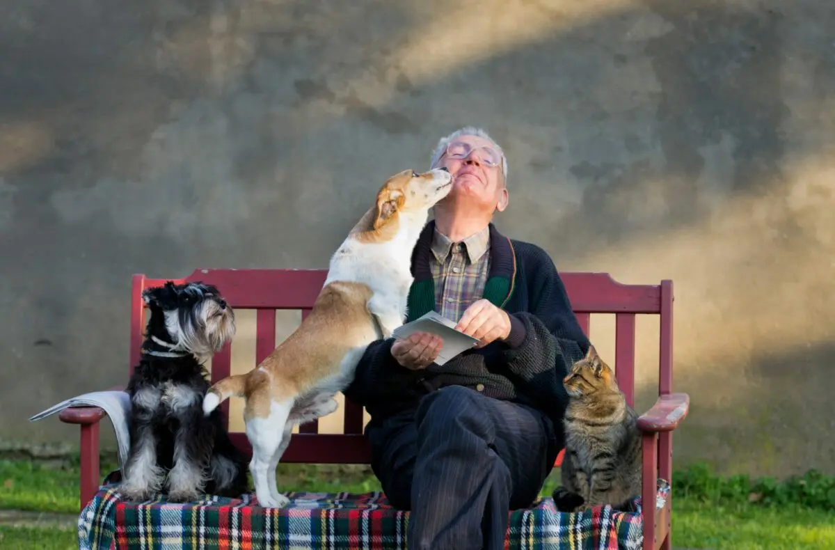 This is how pets can positively influence people&#8217;s lives