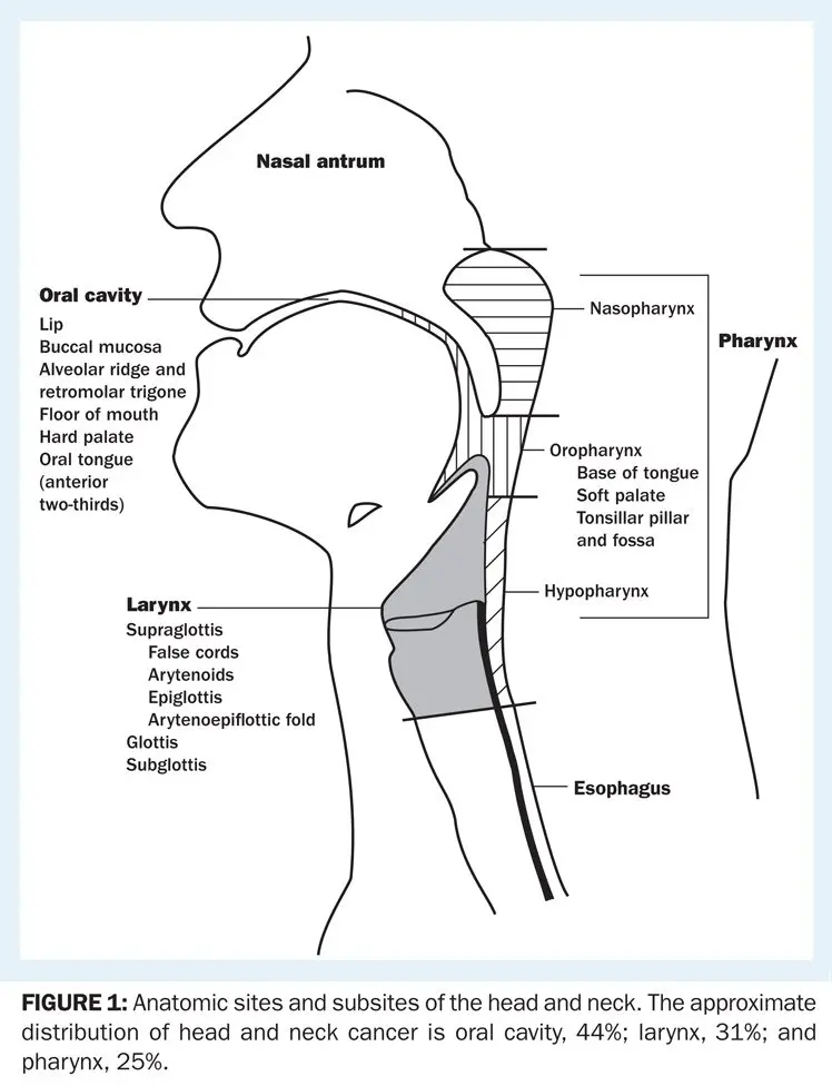 Throat cancer or cancers of the pharyngolaryngeal junction