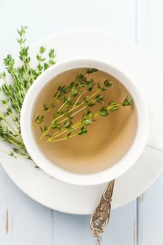 Thyme tea: useful properties, recipe. Video