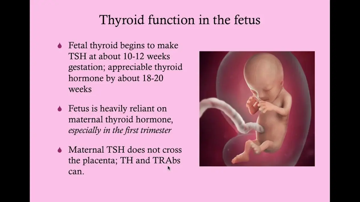 Thyroid problems before, during and after pregnancy