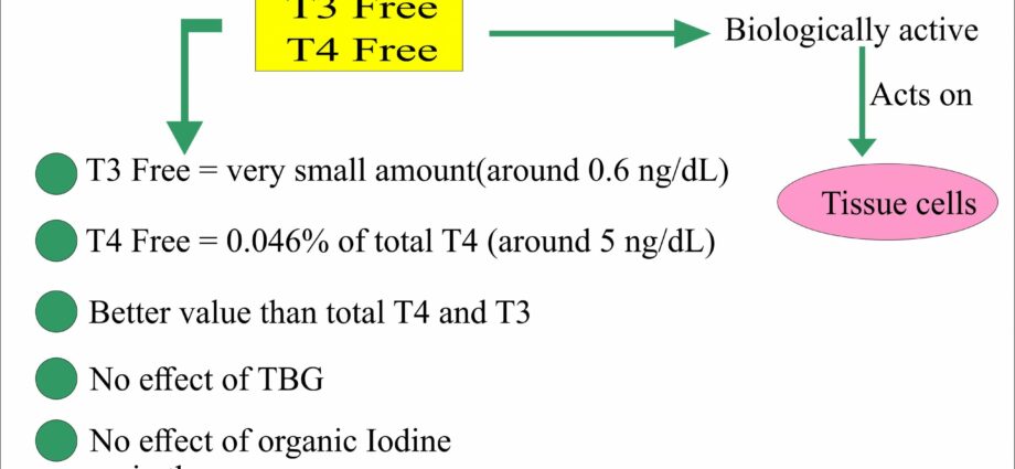 Thyroid: thyroxine T4 and free thyroxine FT4, what is the normal level?