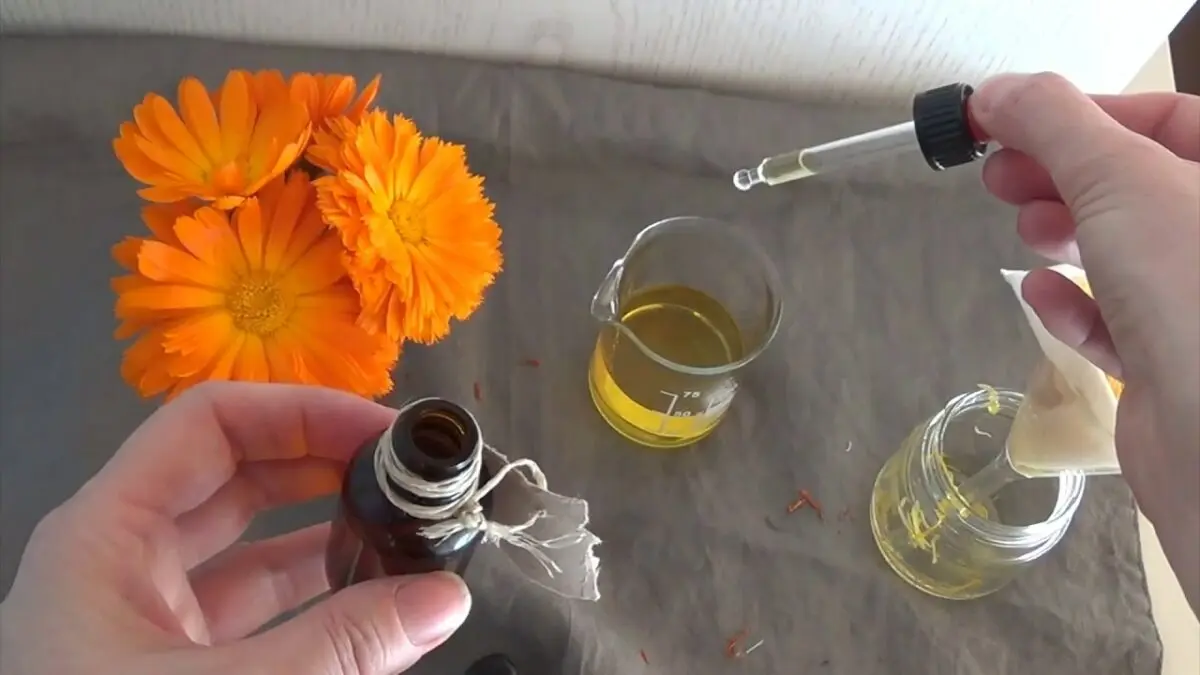 Tincture of calendula for acne. Video