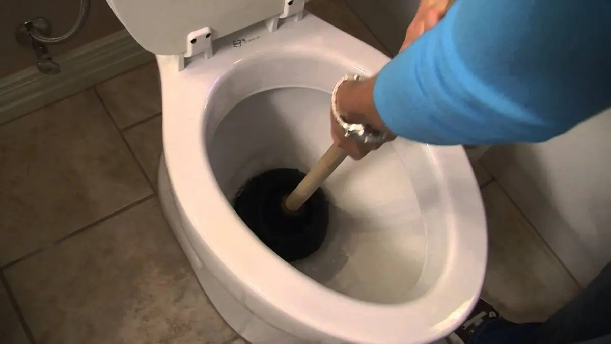 Toilet blockage: how to fix it? Video