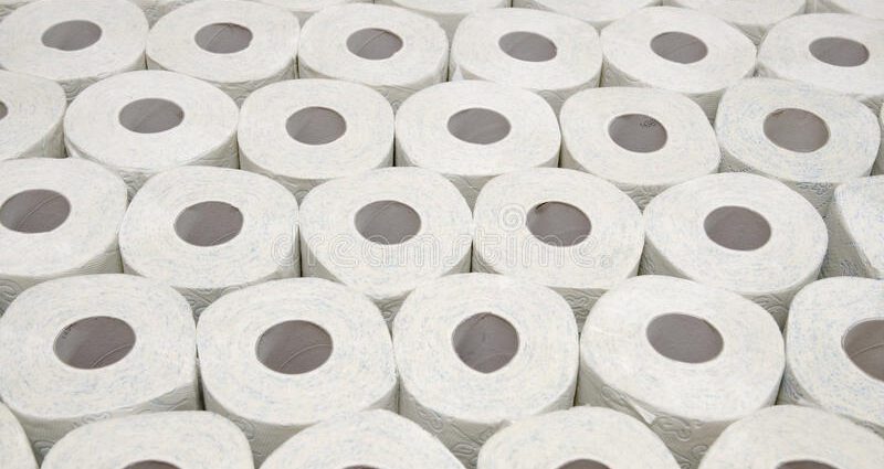 Toilet paper: photo wallpaper for walls