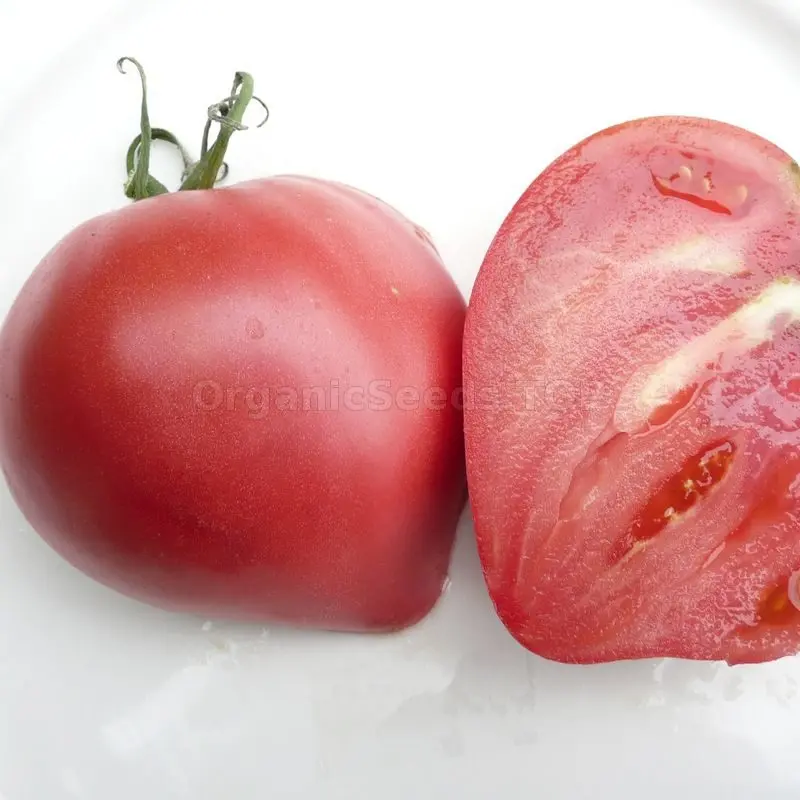 Tomato Budenovka: tomato variety