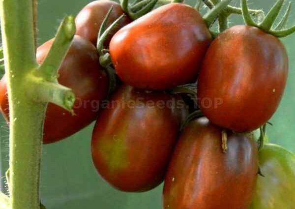 Tomato De Barao: description of tomatoes