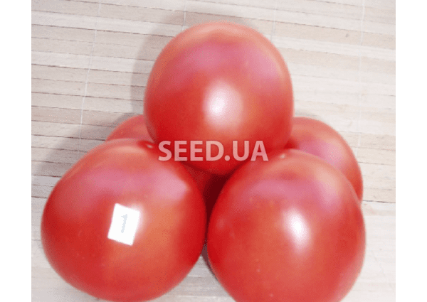 Ụdị tomato dị iche iche Tarasenko