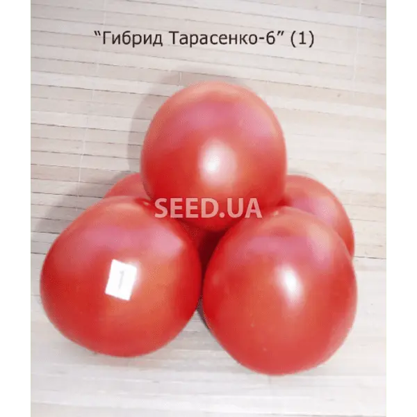 Tomato variety Tarasenko