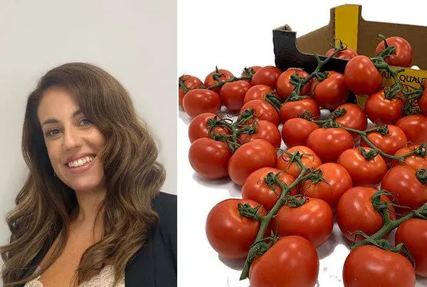 Tomatoes from Vallés return to the gastronomic scene