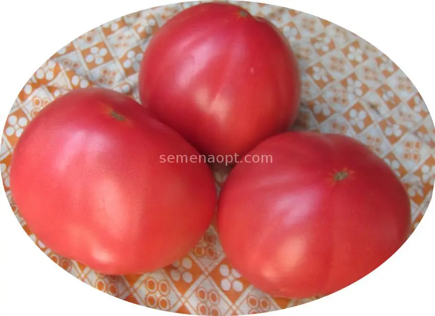 Tomatoes Grandma&#8217;s secrets: description of tomatoes and reviews