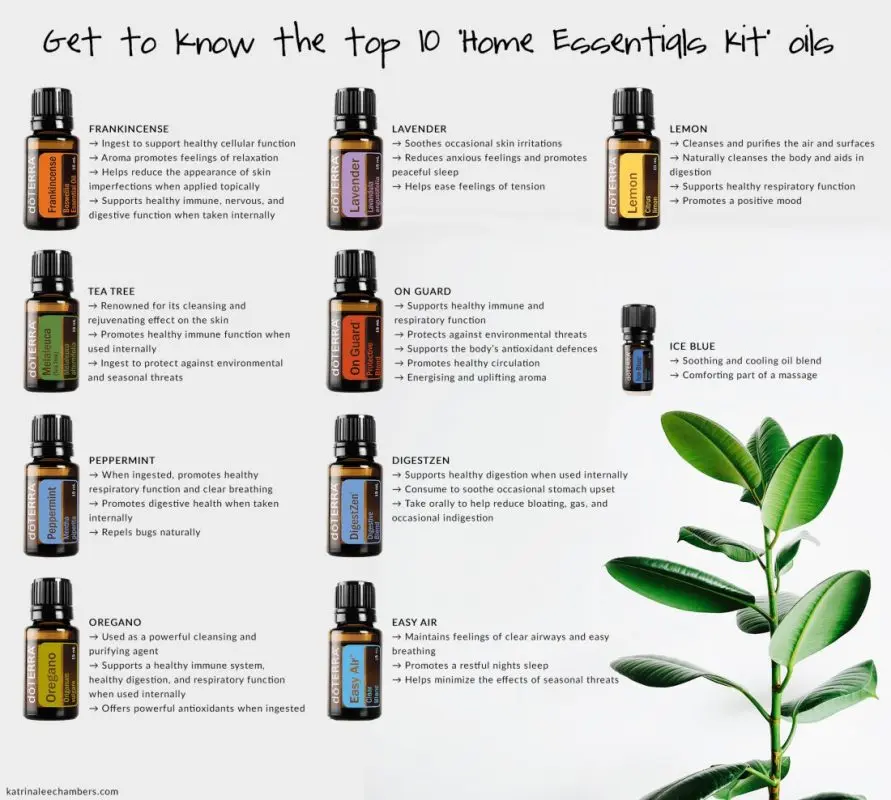 TOP 10 essential essential oils