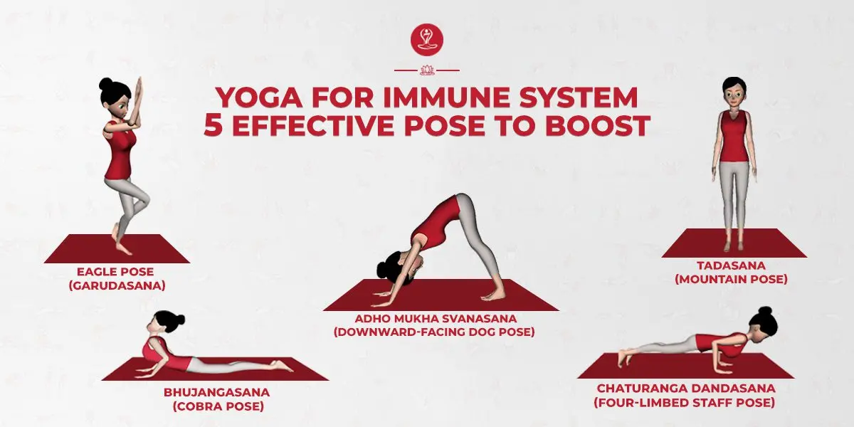 Top 5 Simple Asanas for Immunity and Wellness: Step by Step with Photos