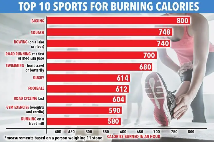 Top most high-calorie-consuming sports