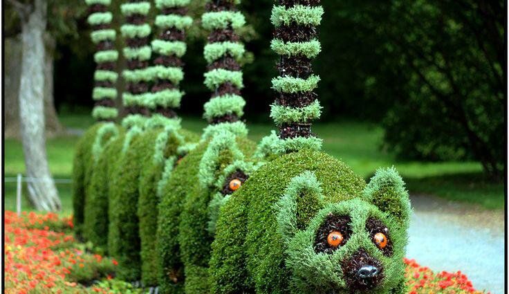 Topiary art for gardeners